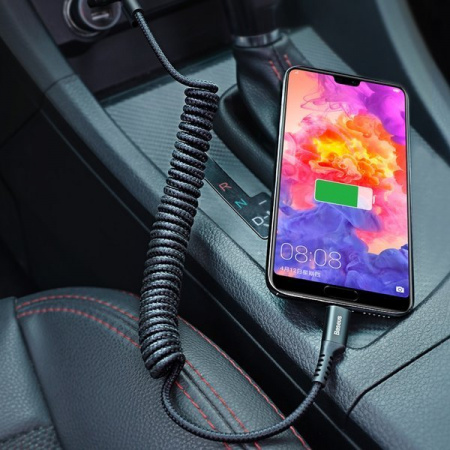 Кабель Baseus Fish-eye Spring Data Cable USB для Type-C 2A 1 метр (CATSR-01)