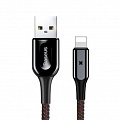 USB - Lightning